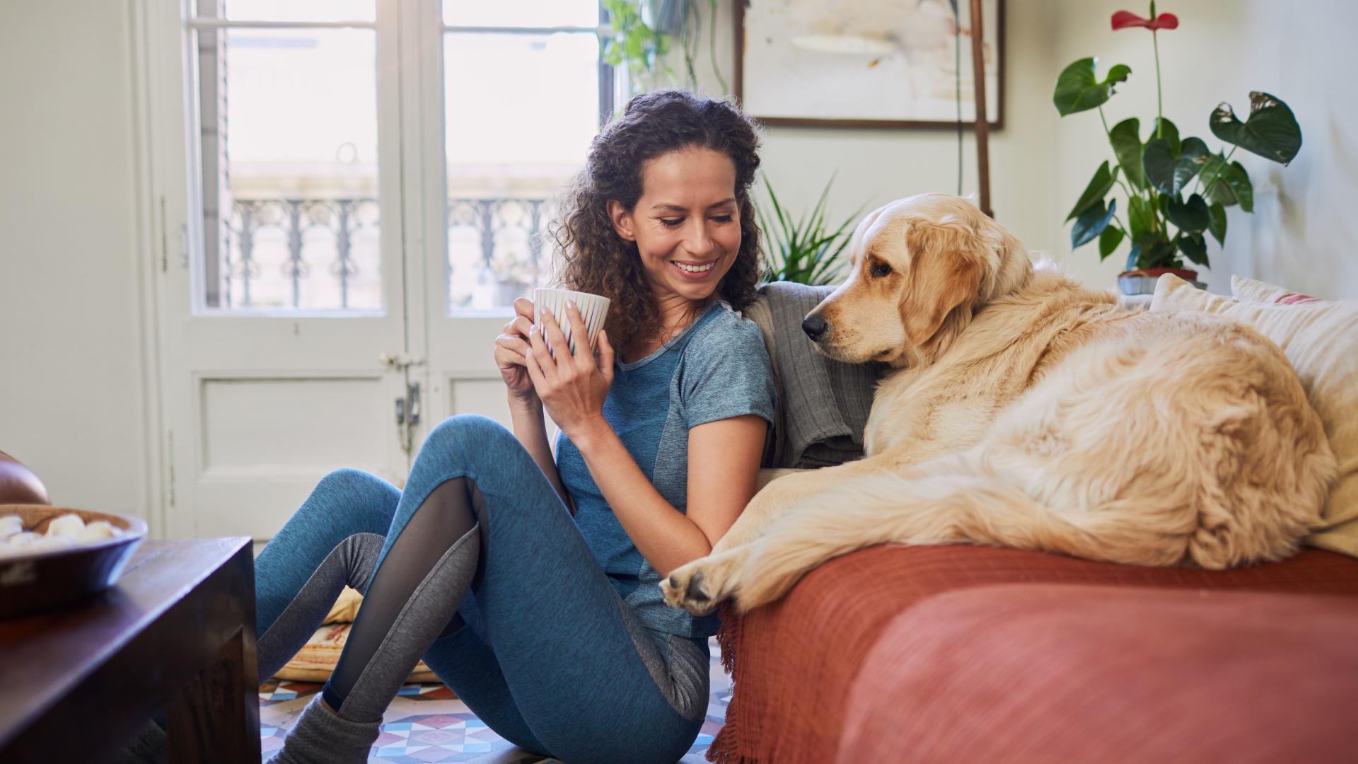 Our open floor plans allow room for your furry friend!