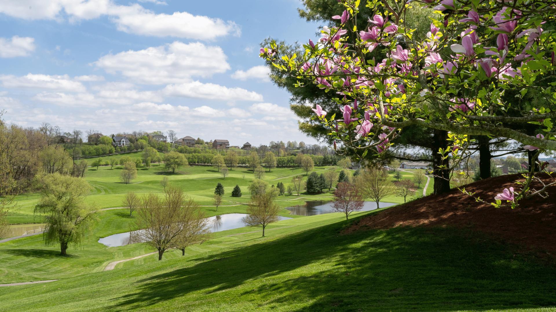 4 golf courses within 15 minutes – meet your foursome any day of the week.