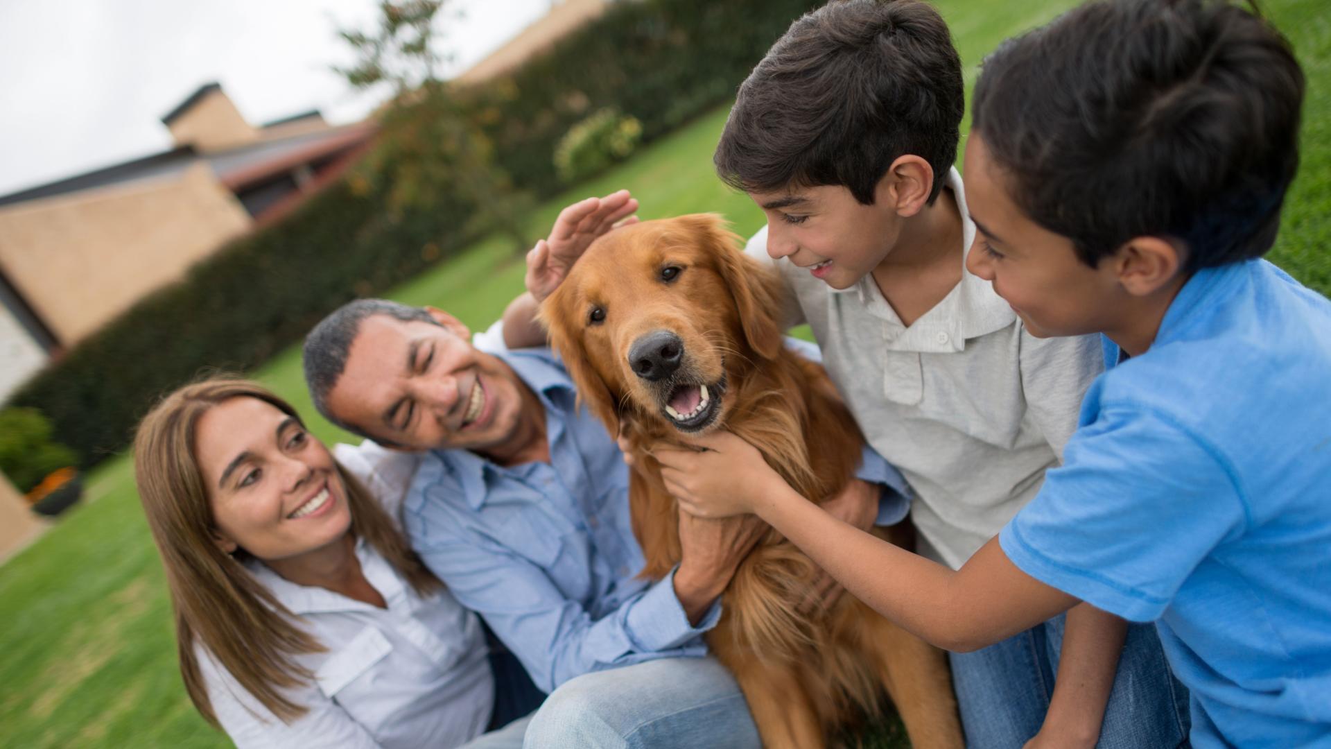 Pets are family too! Your pup will love the freedom to play in their spacious backyard.