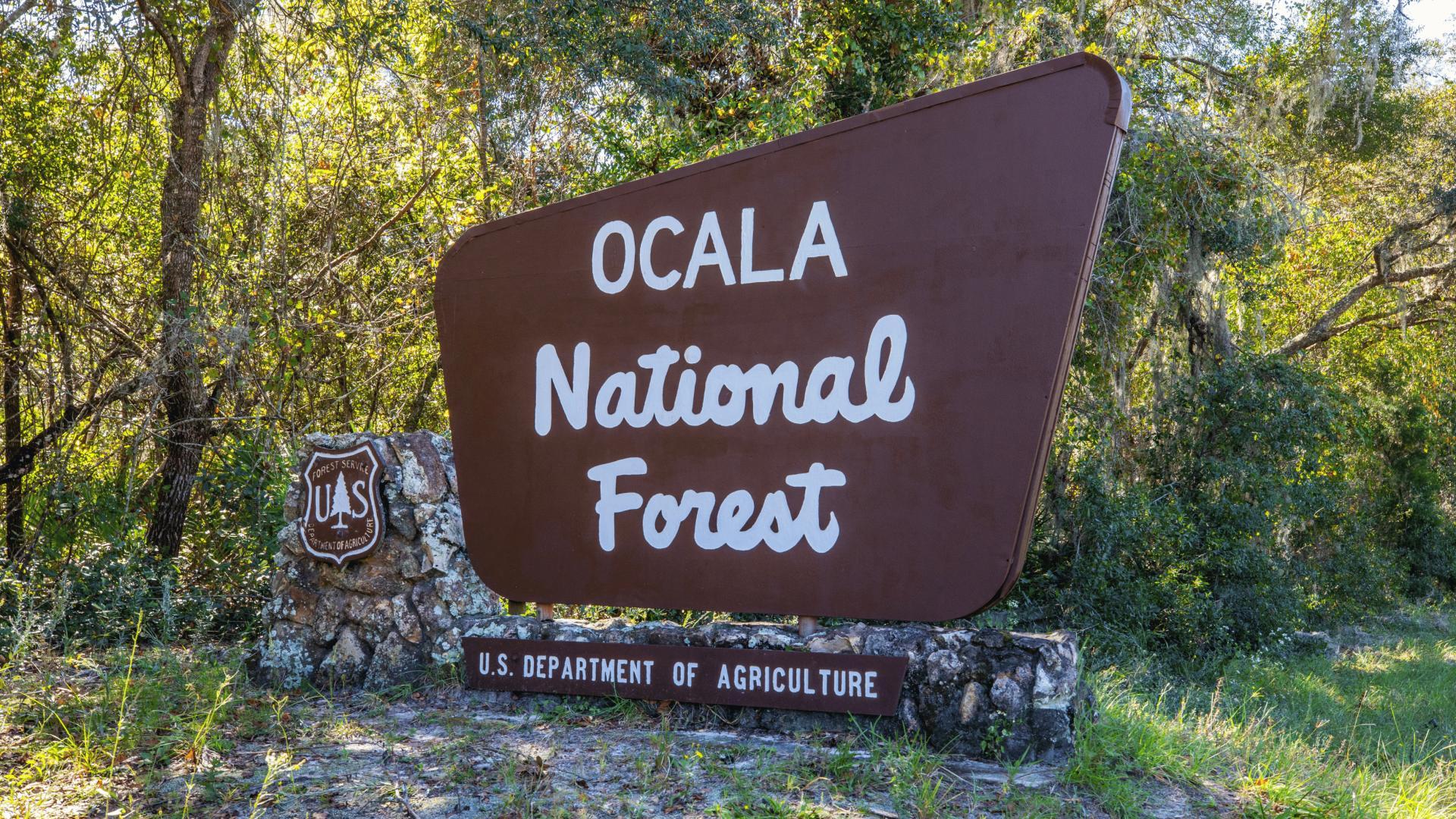 Beautiful nature is right in your backyard at Ocala National Forest.