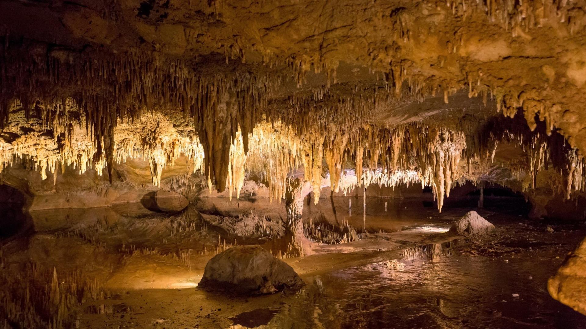 Explore the caverns nearby or venture to Shenandoah National Park.