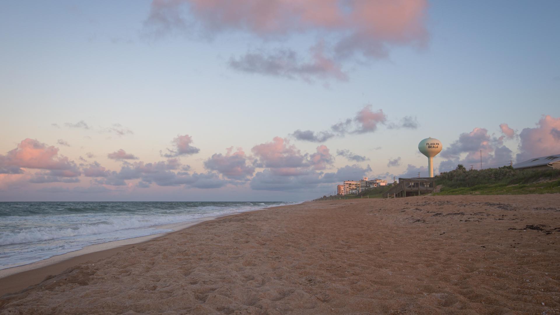 Check out The Funky Pelican Seafood Restaurant on the Flagler Beach Pier.