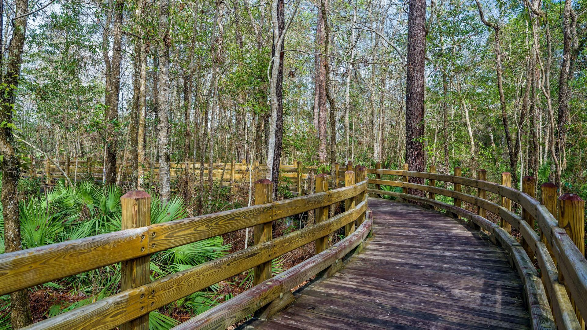 Exploring the walking paths &amp; wooden bridges will be your dog's favorite part of the day.