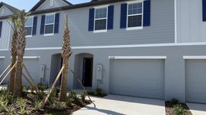32128 Eastern Redbud Br (St Sebastian)