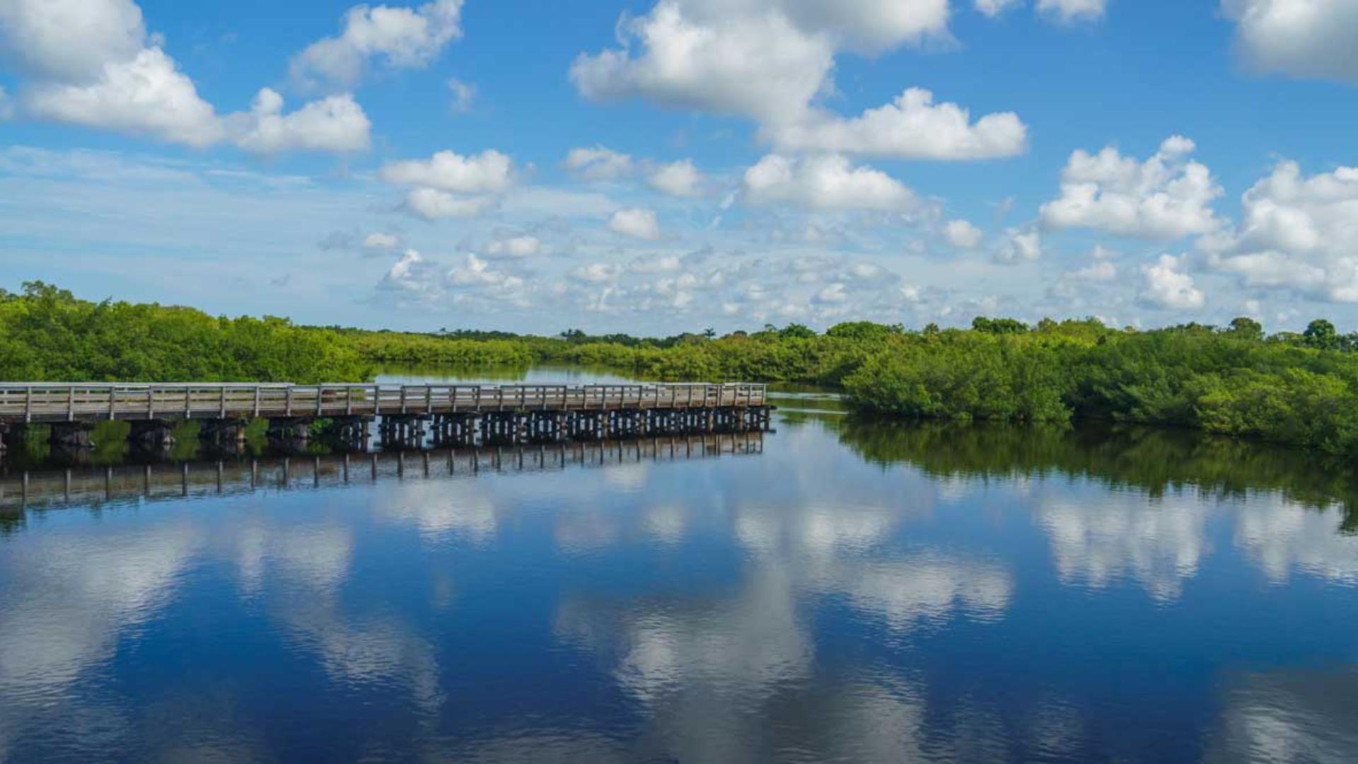 Take in the views at Charlotte Harbour.
