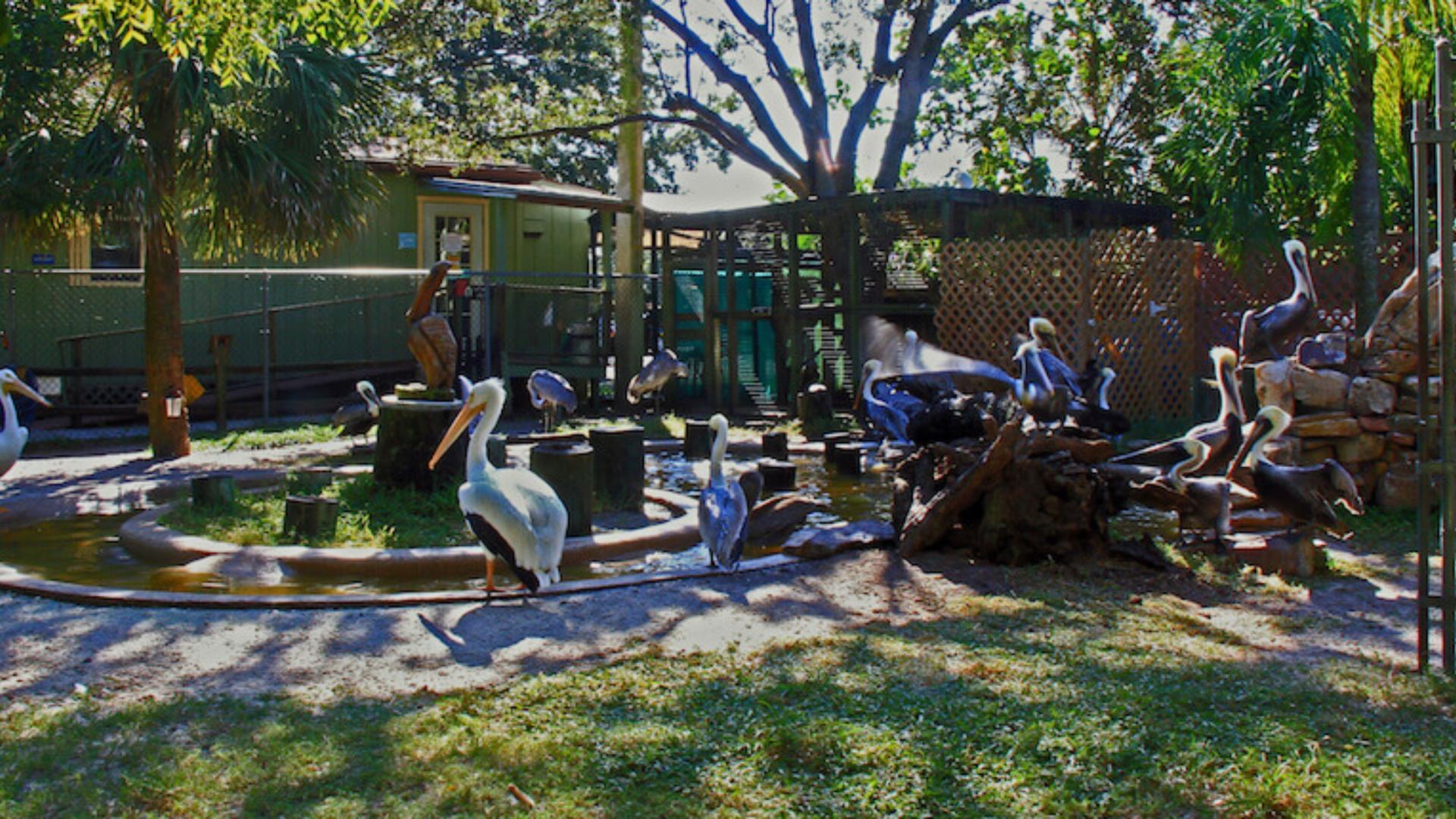 Numerous points of interest are nearby - like Peace River Wildlife Center-Education Center.