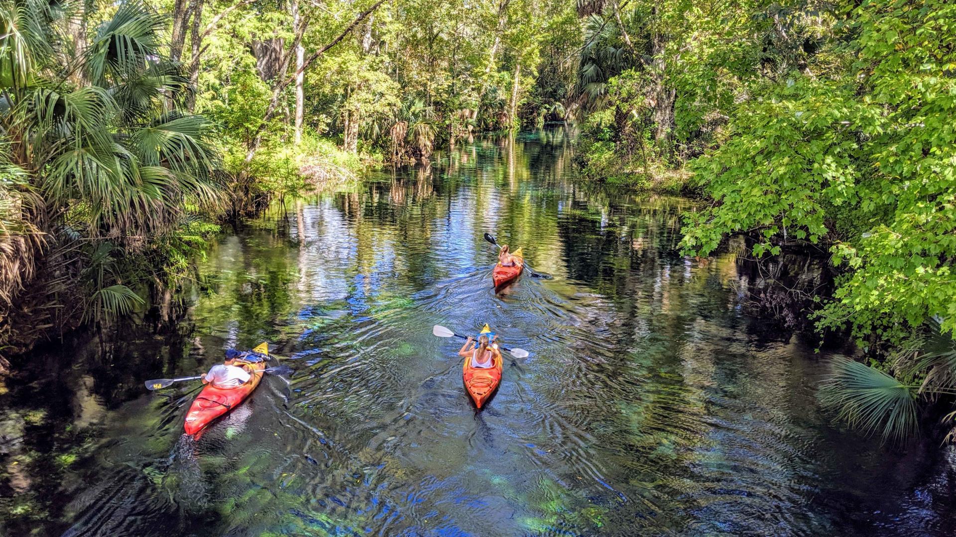 Spend the day surrounded by nature at Poe Springs, only 9 miles from your front door.