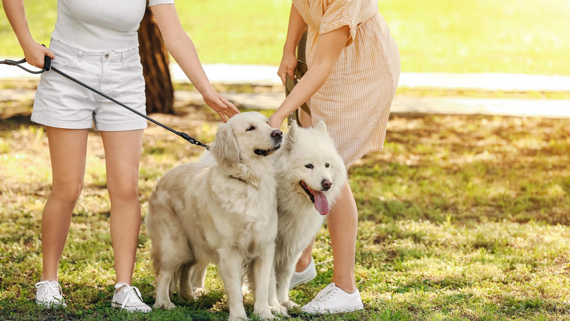 Get your steps in with your four-legged best friend on the community walking trails.