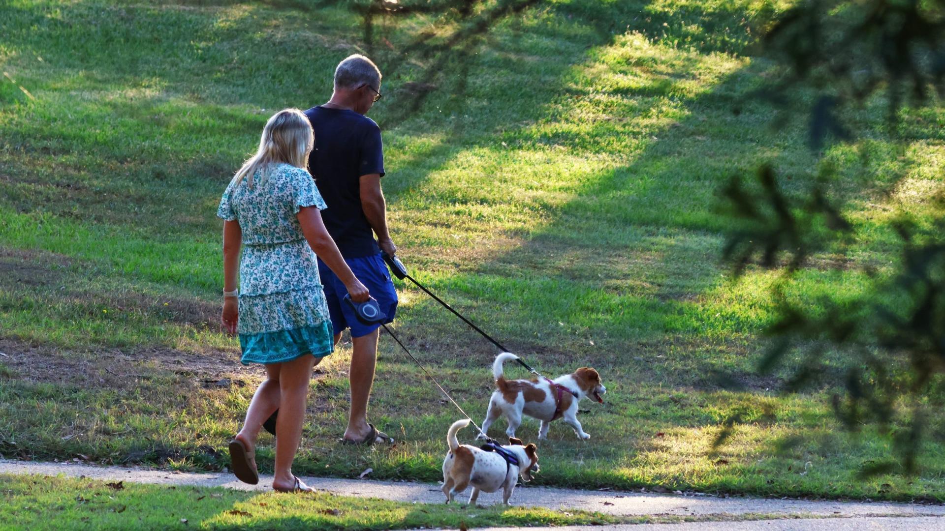 Your four-legged bestie will love exploring the community bridge and sidewalk lined streets.