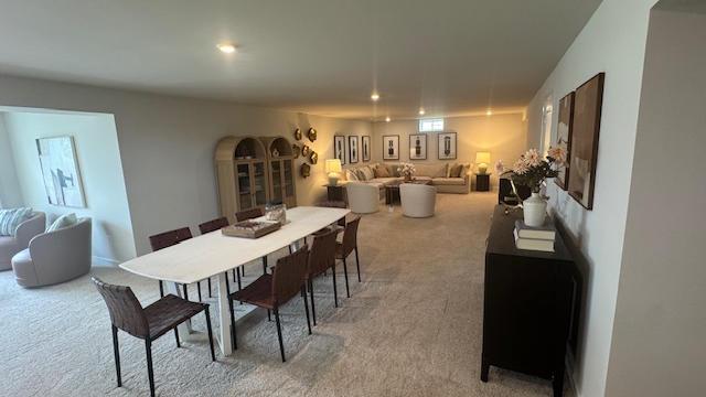 Lower Level Rec Room