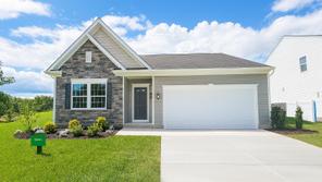 159 Williamson Rd (Avalon)
