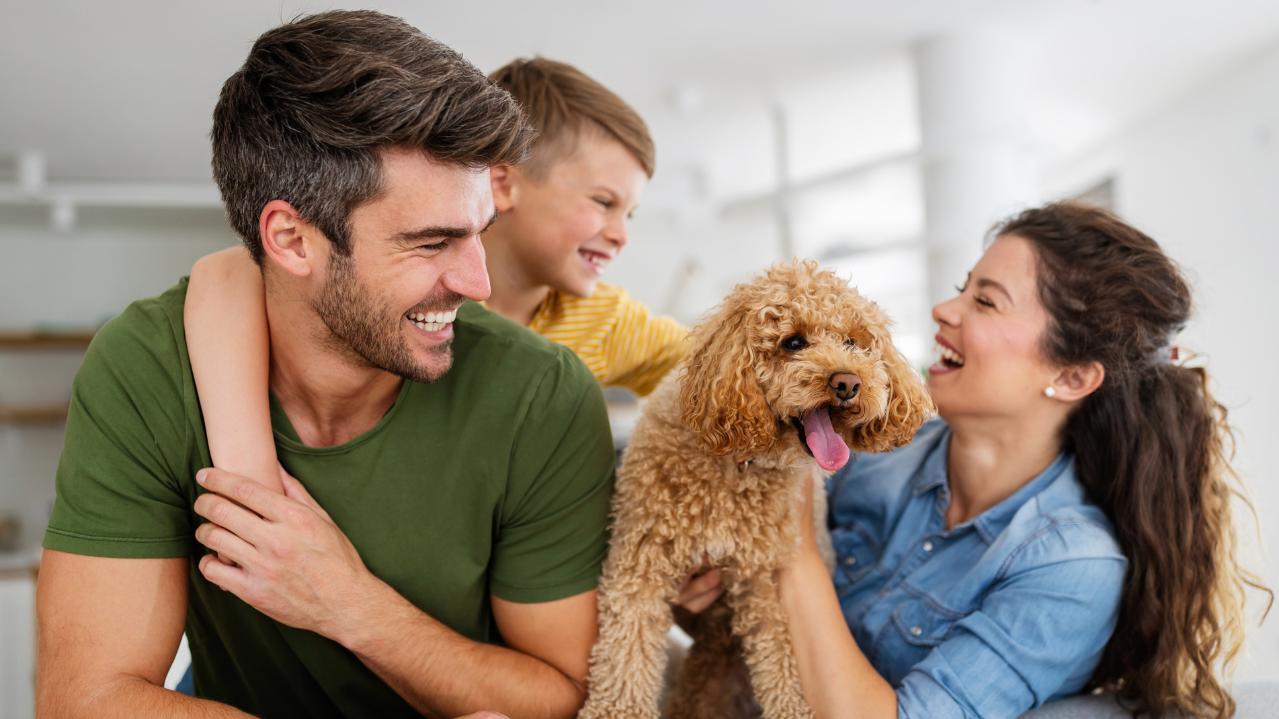 Settle in to your new routine at Huntwell West and personalize your home to suit your family's needs perfectly.