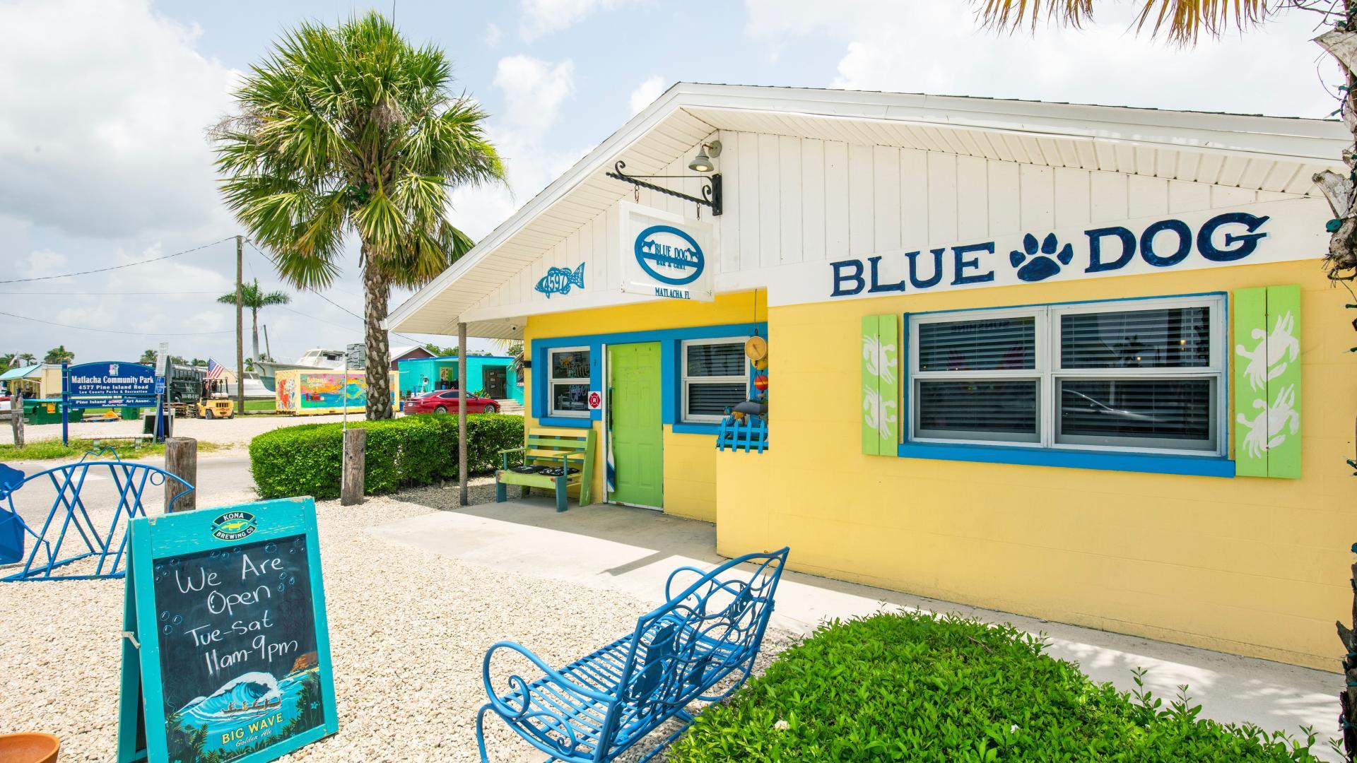 Fresh seafood, island vibes, and waterfront views—dinner at Blue Dog hits just right.