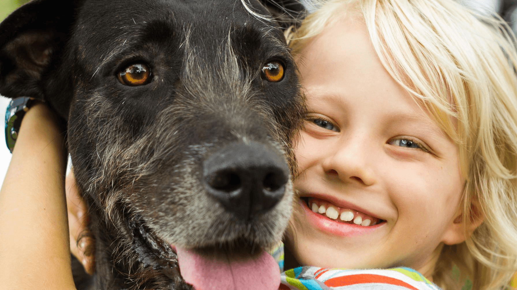 Your dog will love the sidewalk lined streets and big backyards.