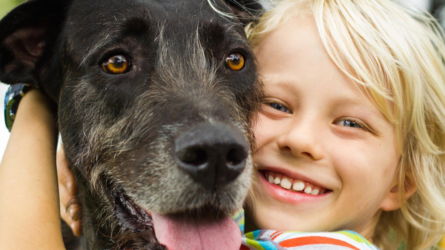 Your dog will love the sidewalk lined streets and big backyards.
