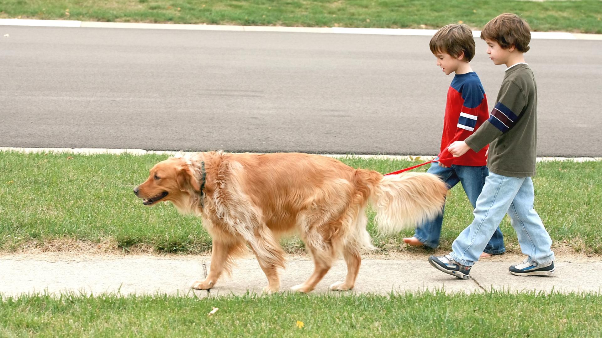 Friends can lead each other down the sidewalk line streets.