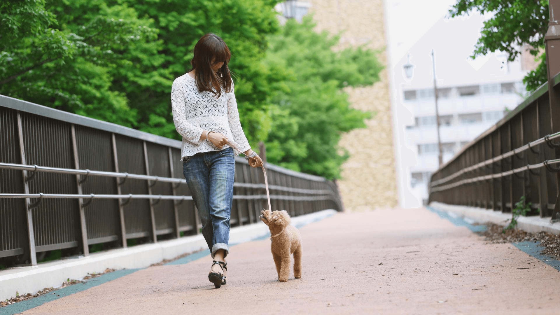 Take your four-legged friend to Otto Armleder Memorial Park dog park, under 3 miles from home.