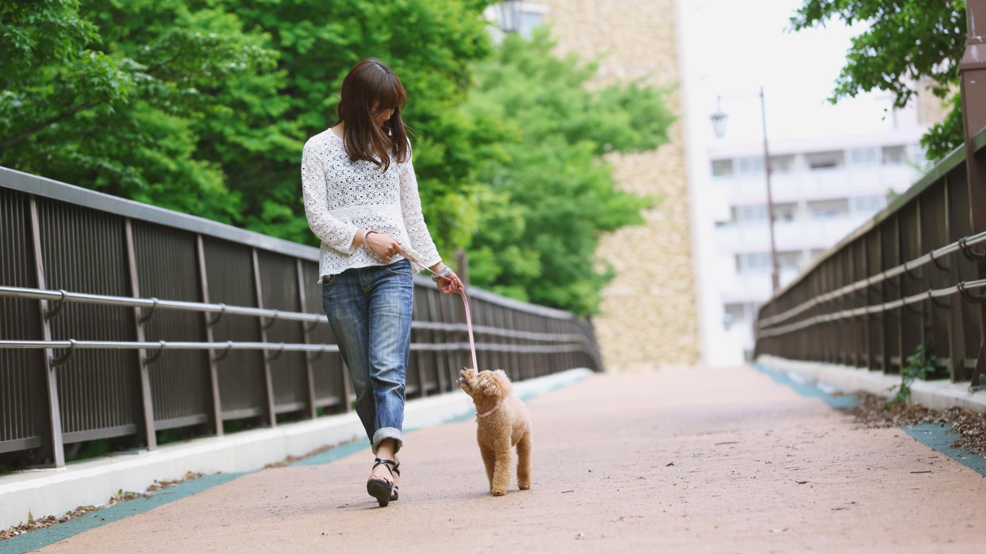 Take your four-legged friend to Otto Armleder Memorial Park dog park, under 3 miles from home.