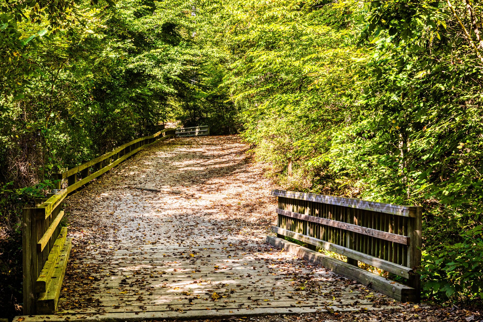 Raven Rock State Park