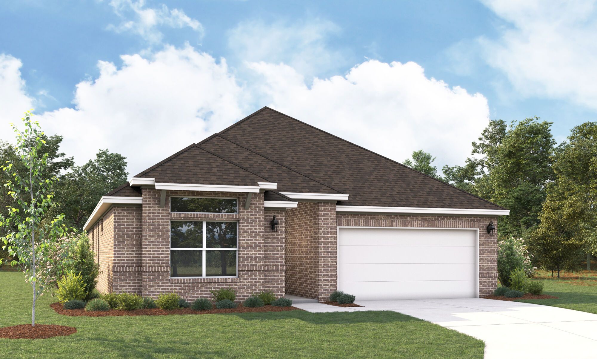 The Bianca - Modern Elevation