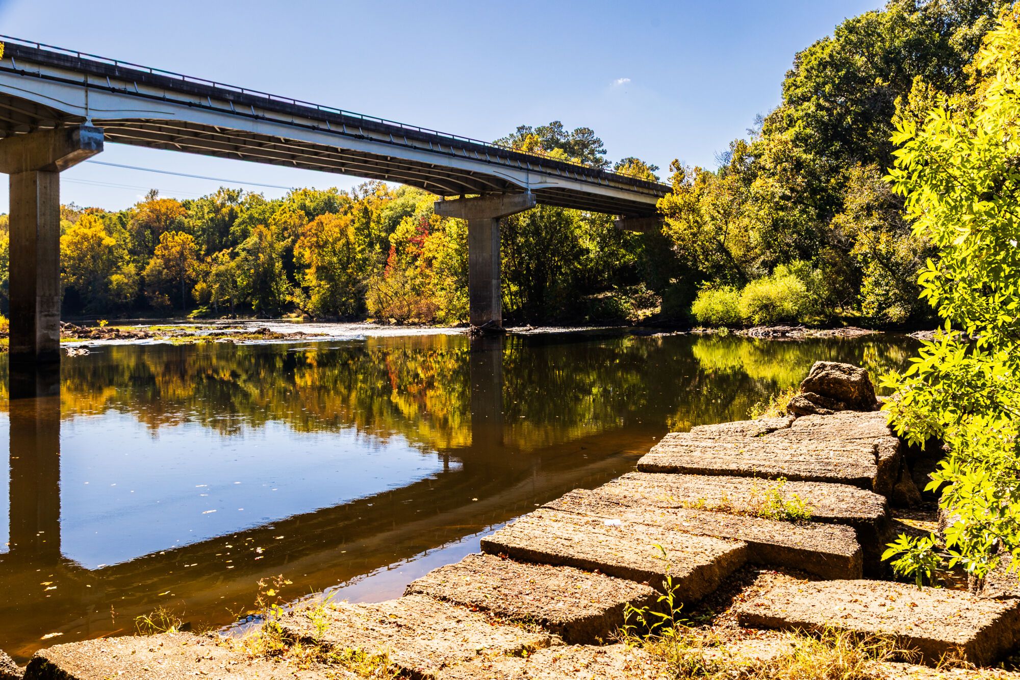 Cape Fear River - Lillington, NC