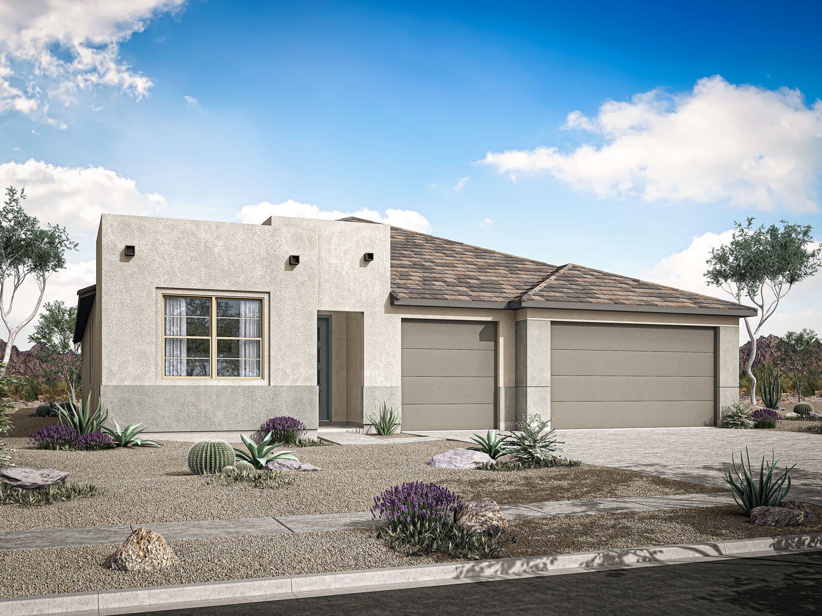 Desert Modern