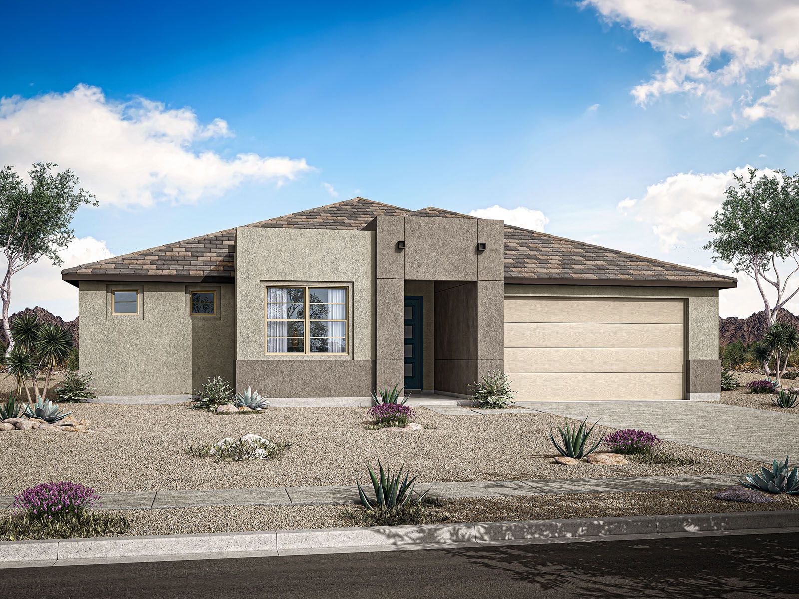 Desert Modern