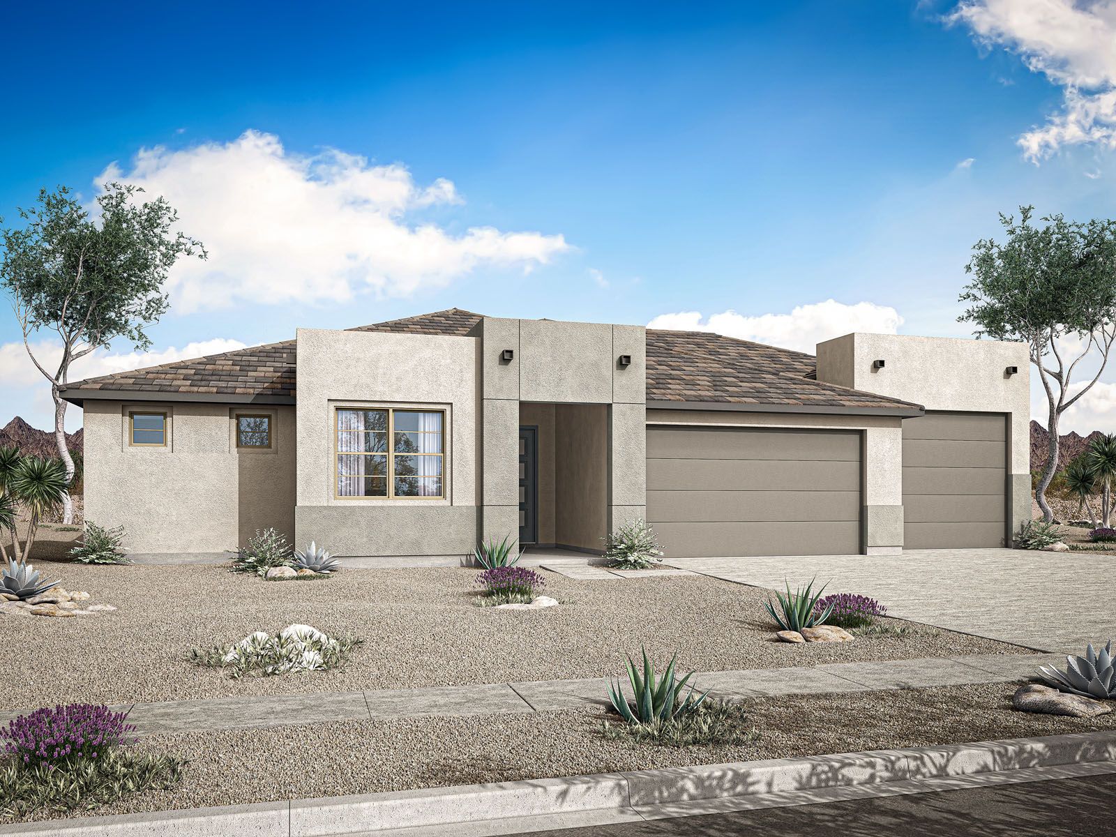 Desert Modern