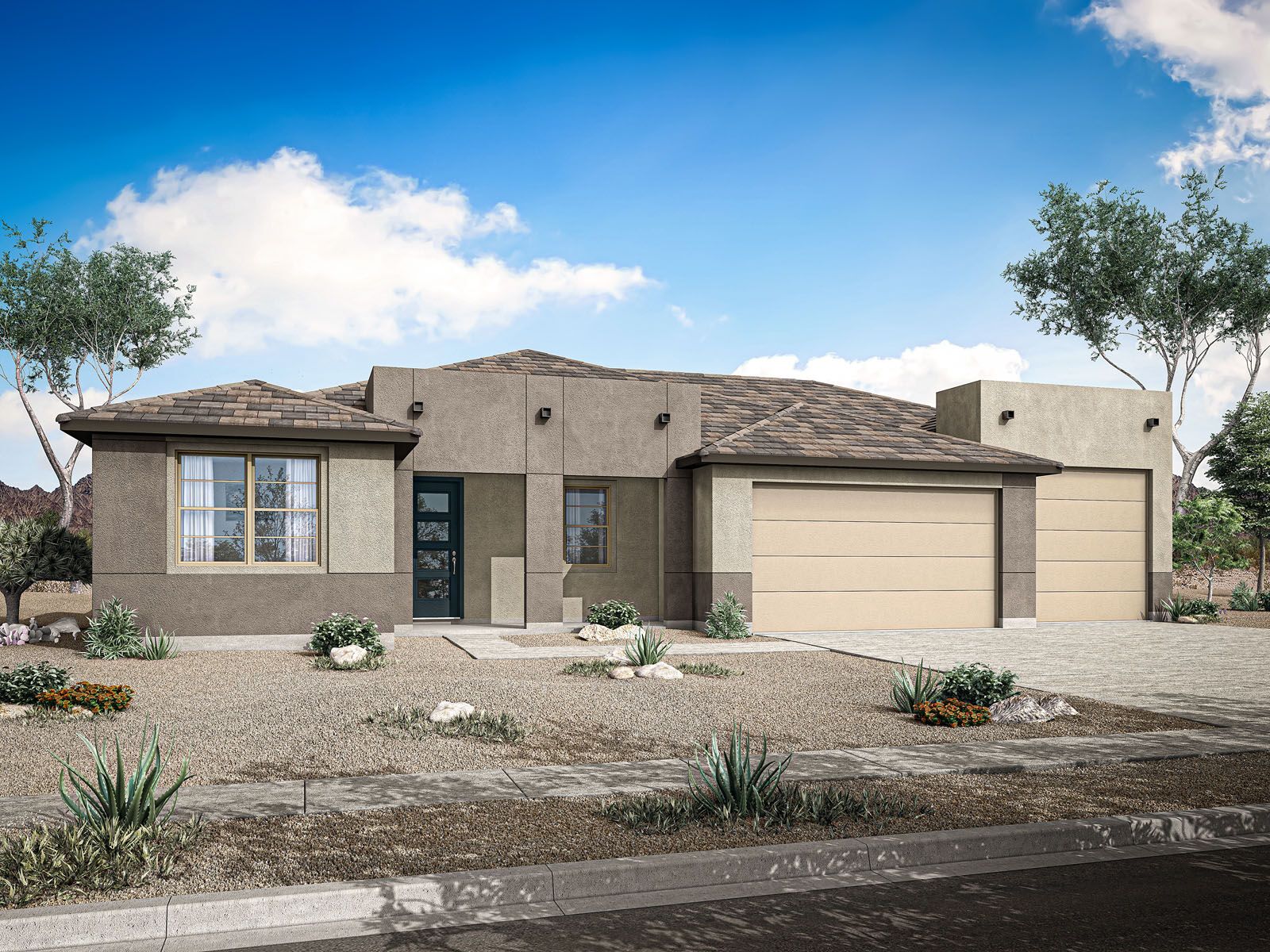 Desert Modern