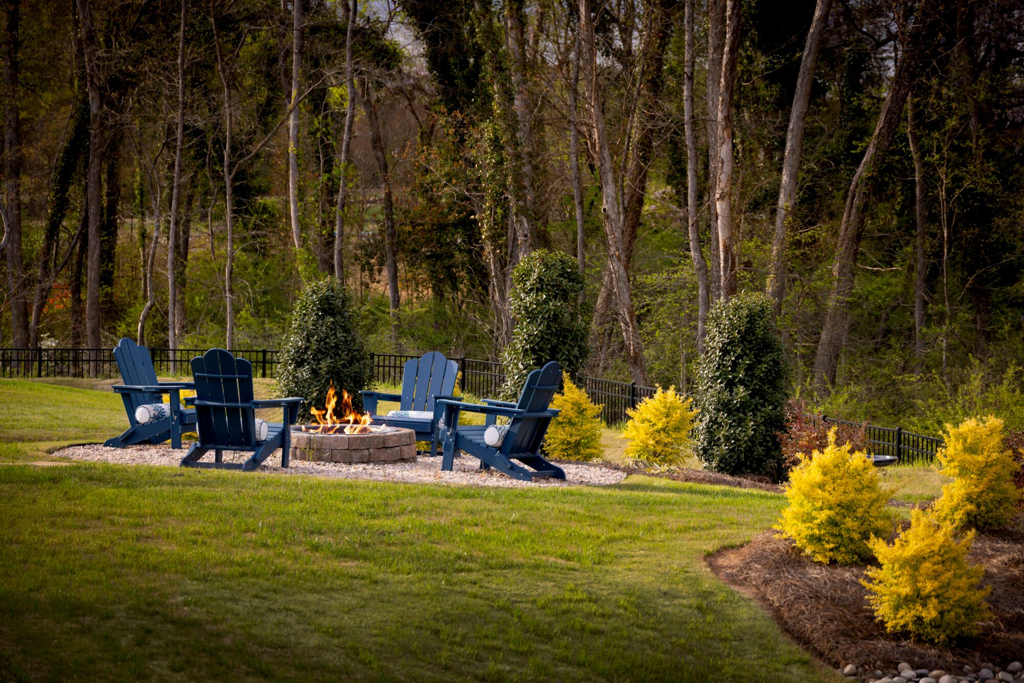 Sequoia Model backyard