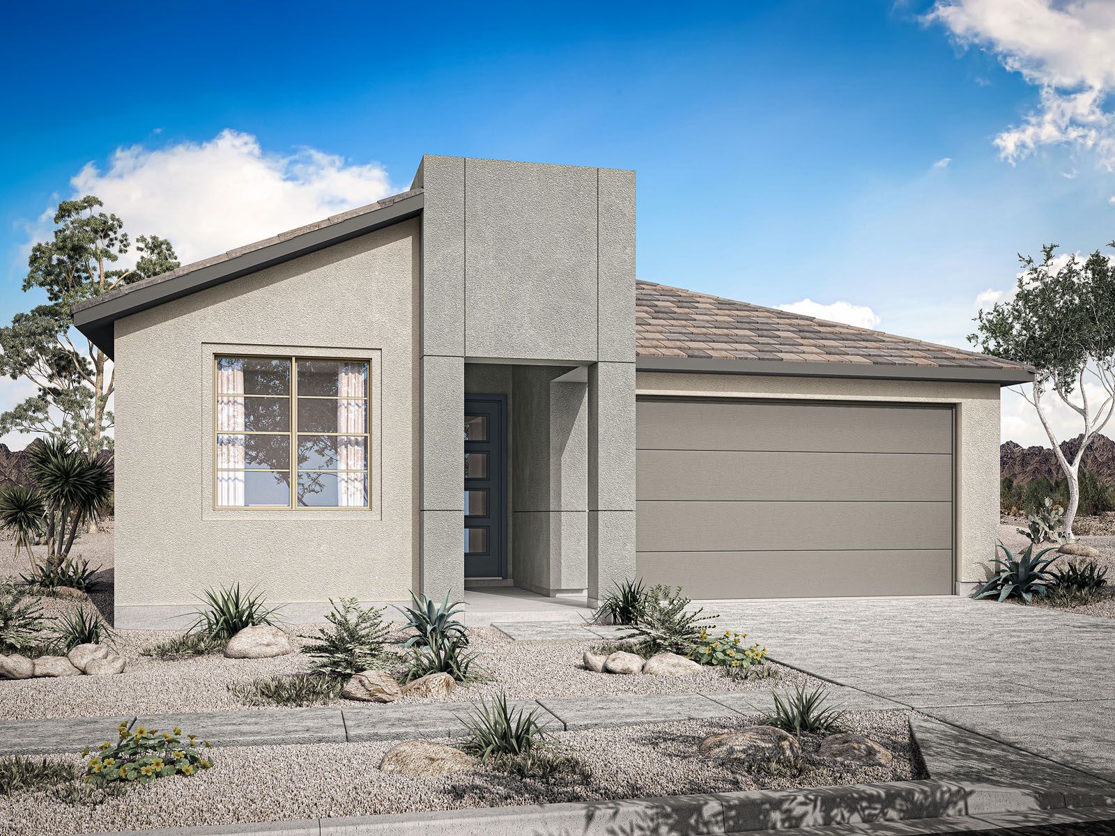 Desert Modern