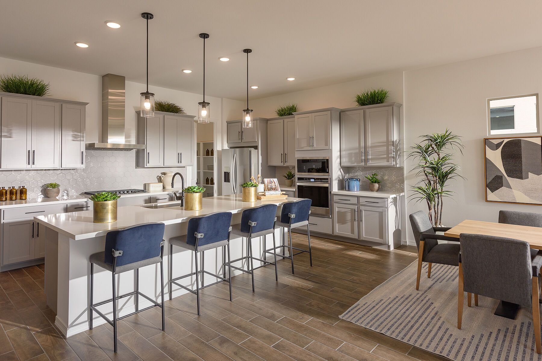 Phoenix Model Home