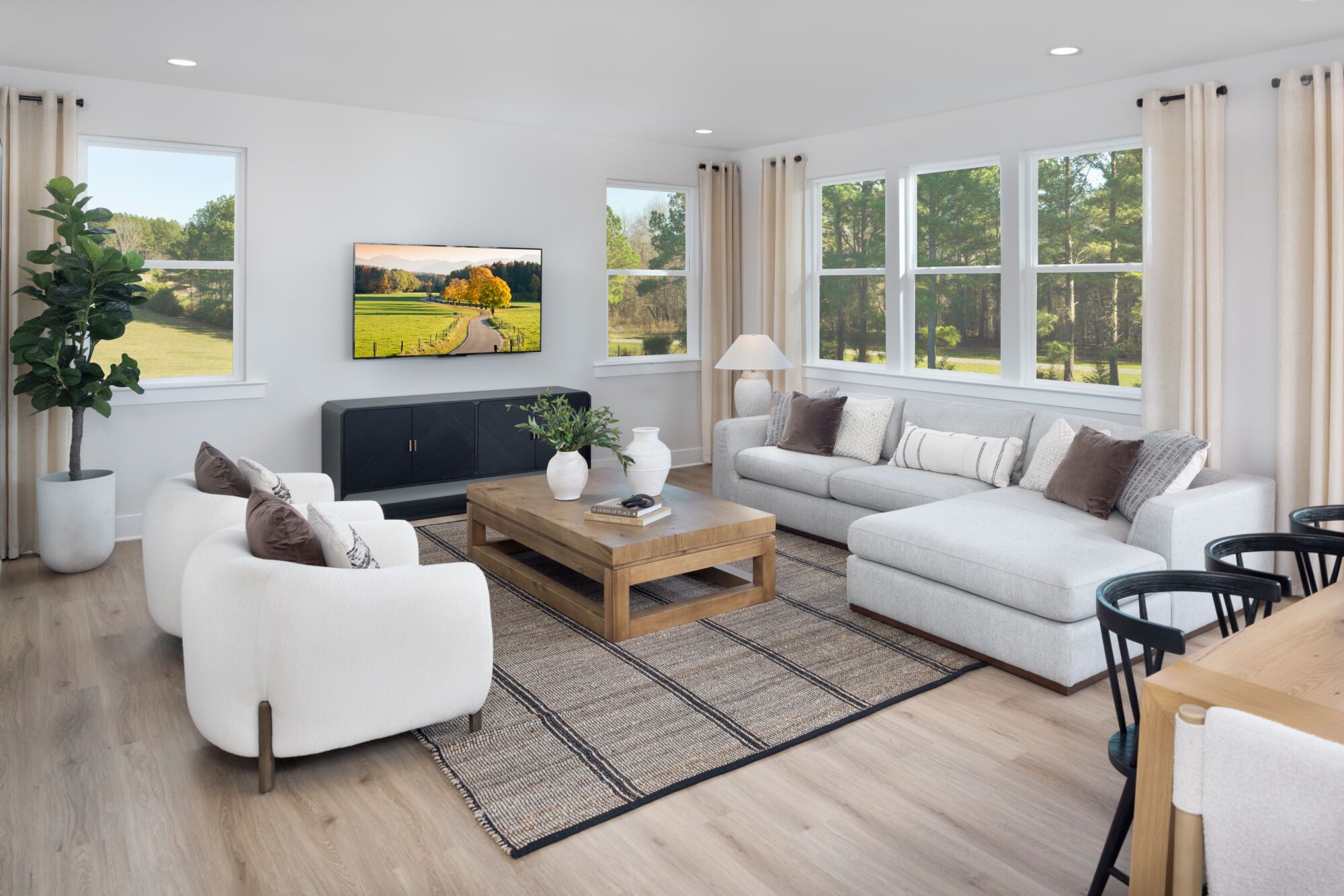 Shenandoah Model Home - Great Room