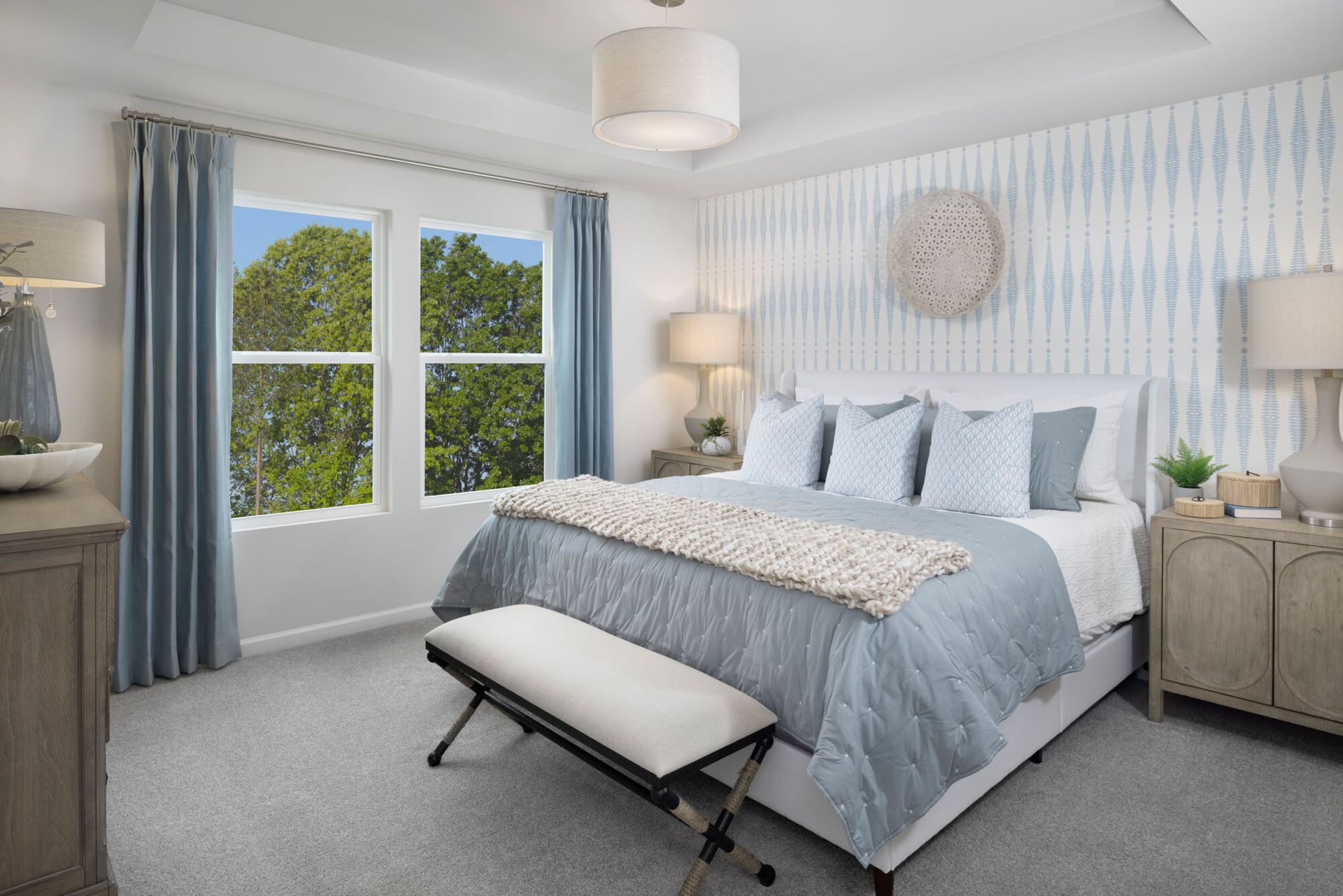 Amira Model Owner's Suite