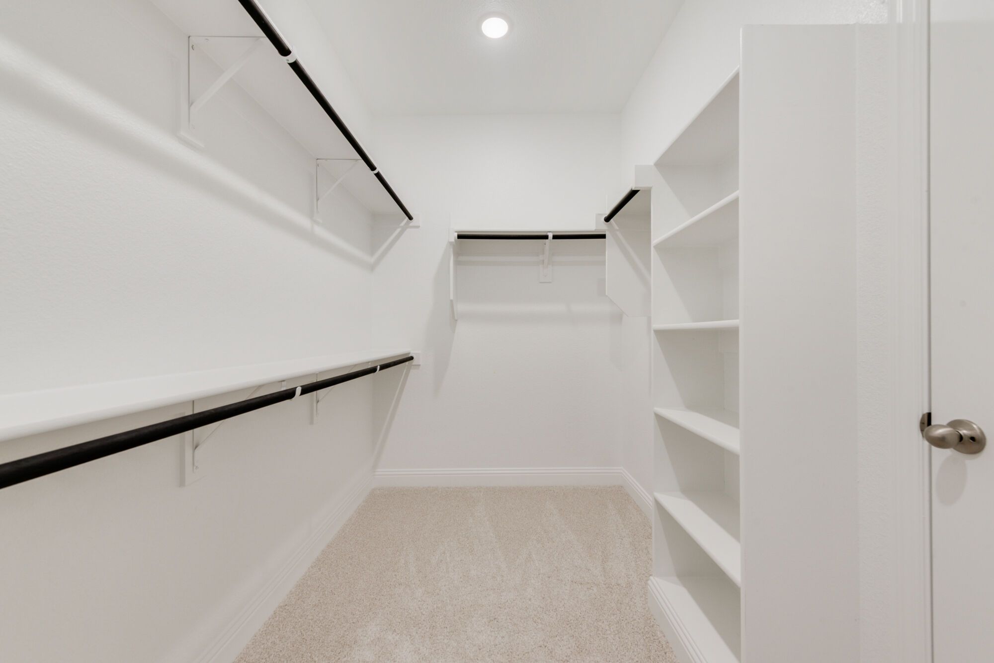 Primary