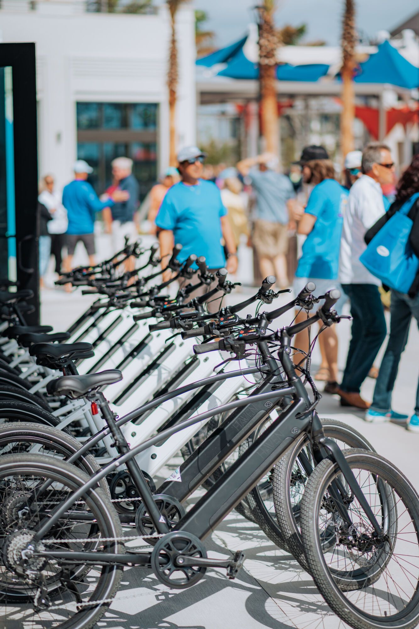 Bike rental at Downtown Wellen