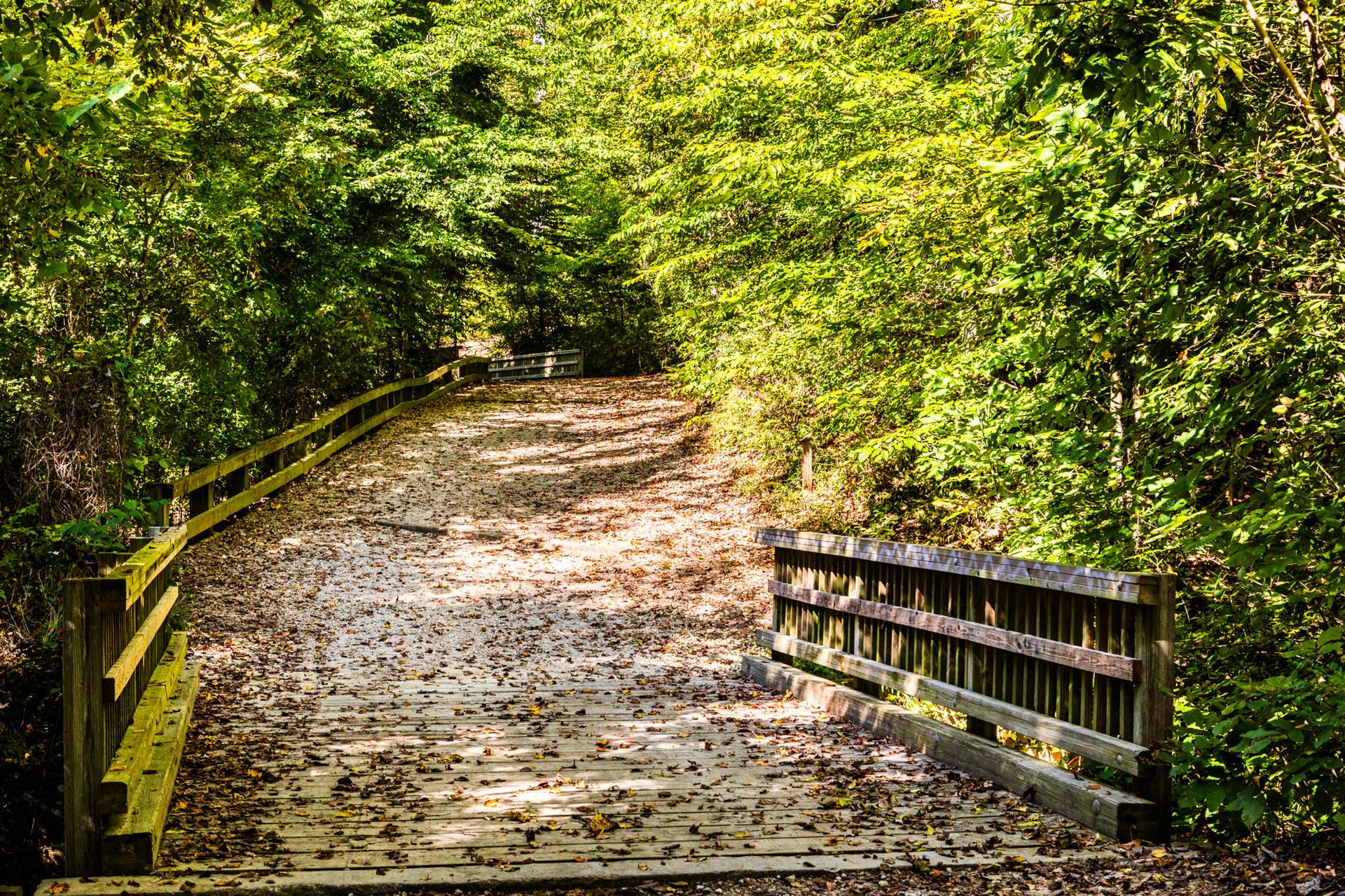 Raven Rock State Park