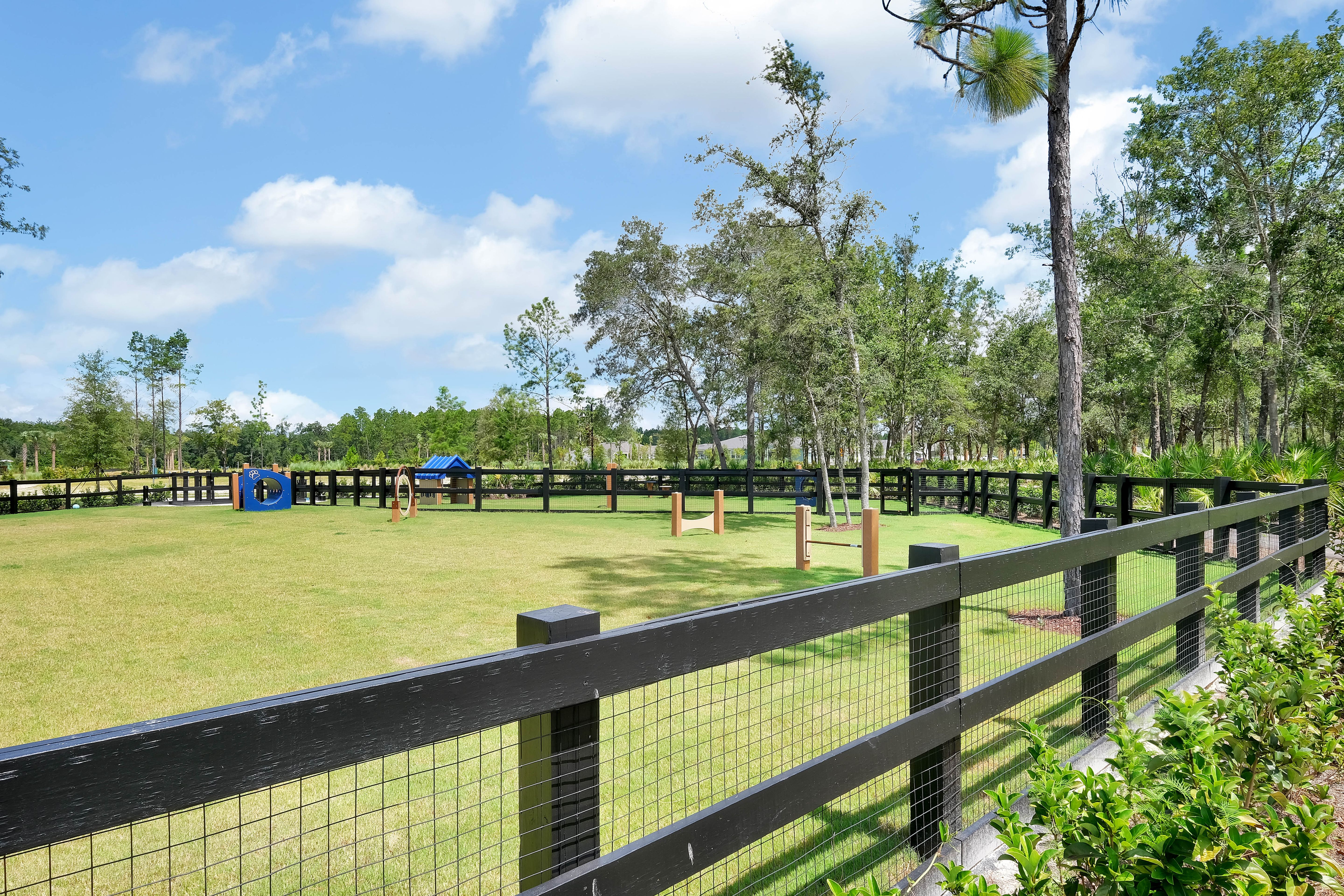 Paw Park