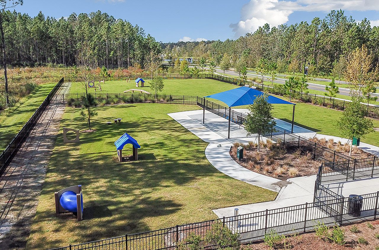 Paw Park