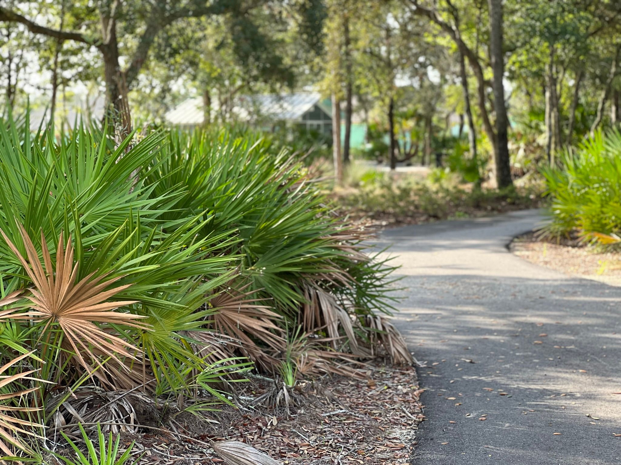 Walking Trail