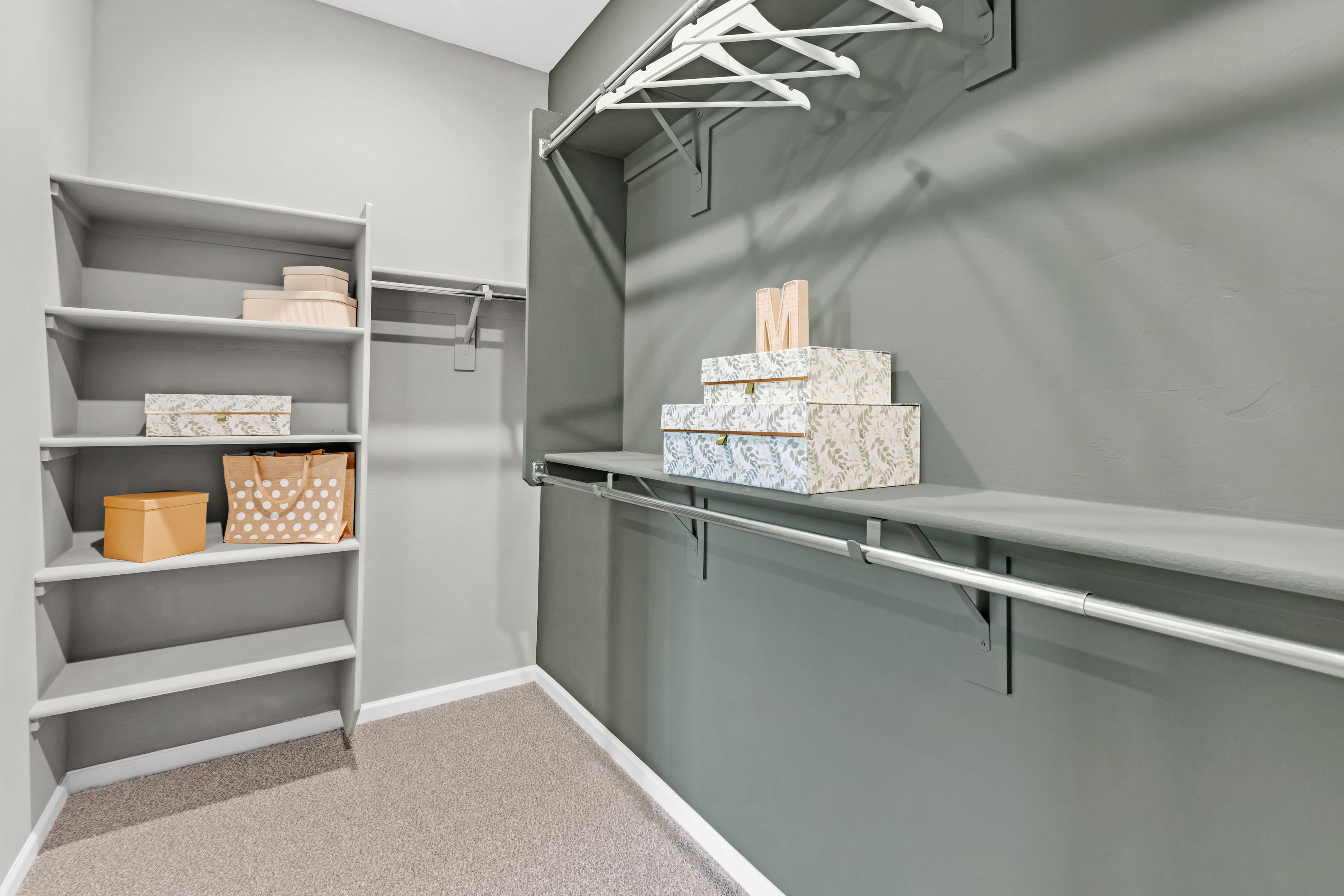 Primary Closet