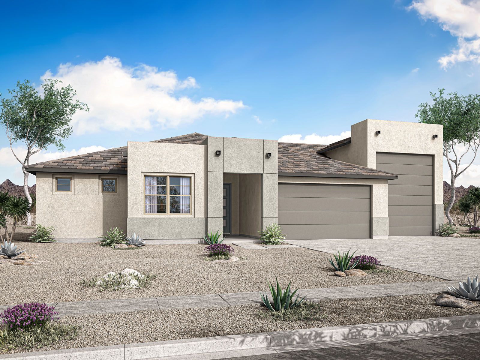 Desert Modern