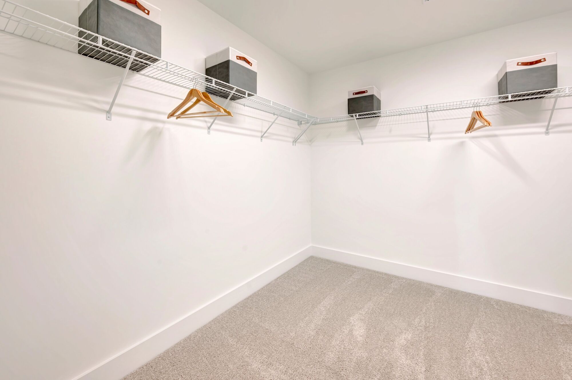 Shenandoah Model Home - Owner's Walk-In Closet