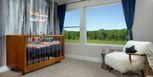 Home in The Grove at Chestnut Park by Mattamy Homes