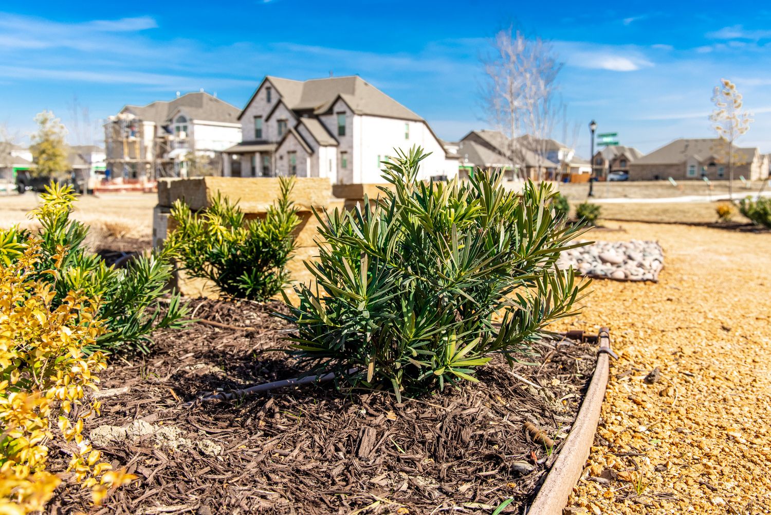 Enjoy the abundance of greenspaces throughout the community