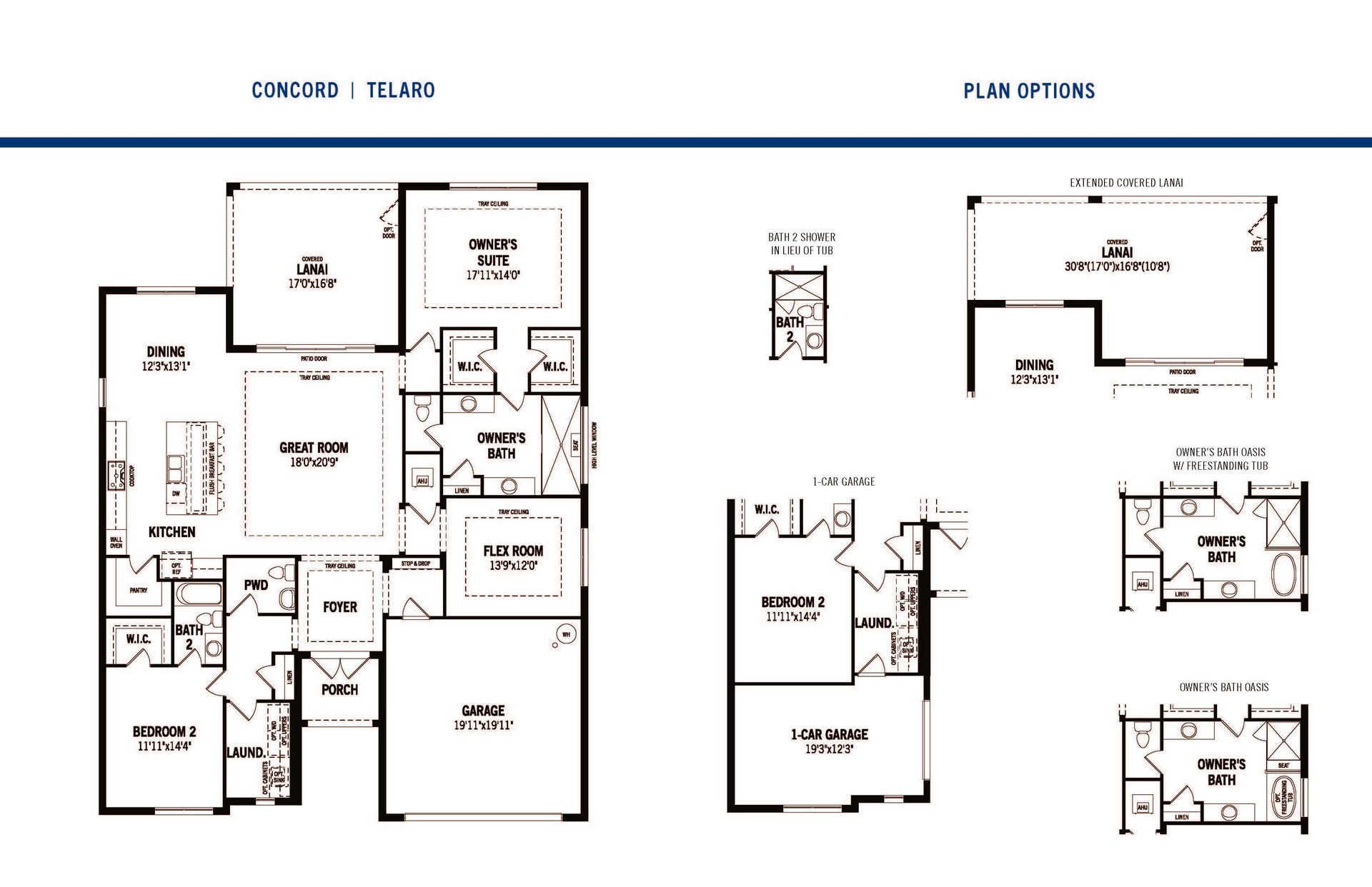 Concord Floor Plan and Options