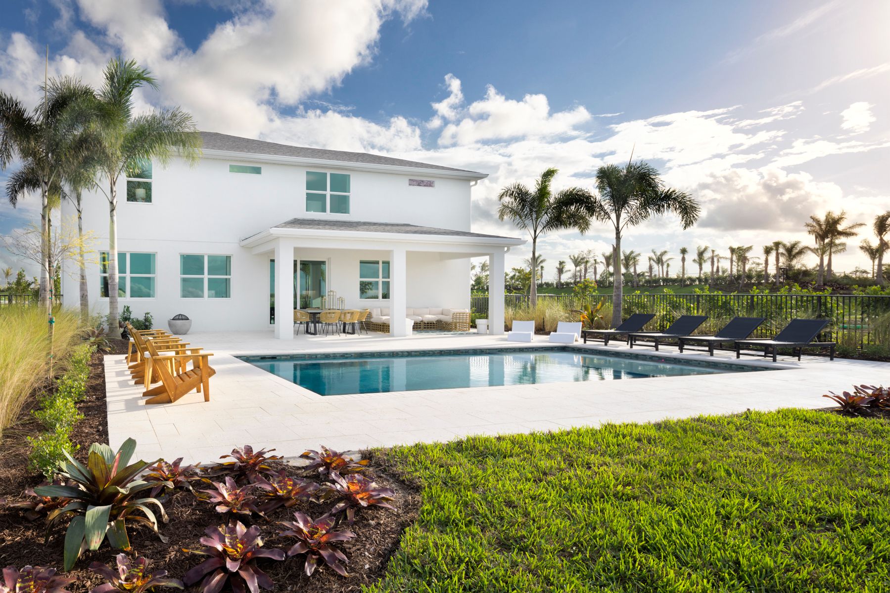 Mount Rainier Backyard