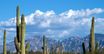 casa en Saguaro Reserve II por Mattamy Homes