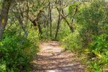 Gardenia Reserve - Apopka, FL