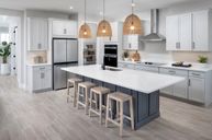 Lakespur at Wellen Park por Mattamy Homes en Sarasota-Bradenton Florida